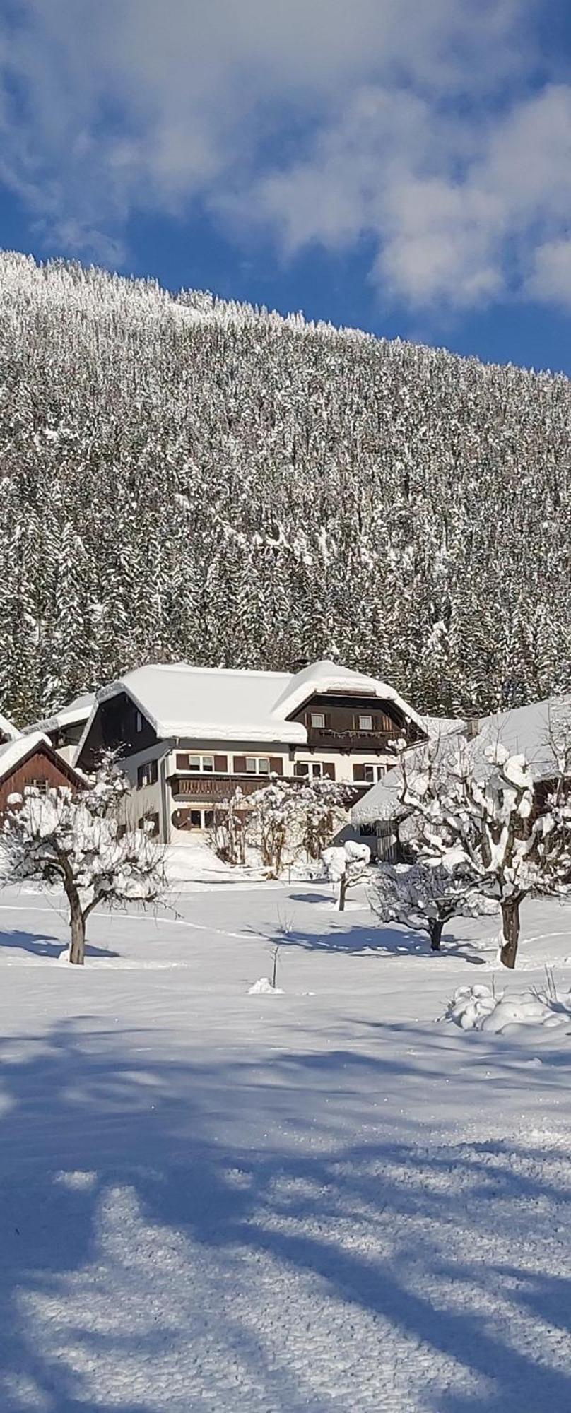 Haus Binder Διαμέρισμα Weissensee Εξωτερικό φωτογραφία