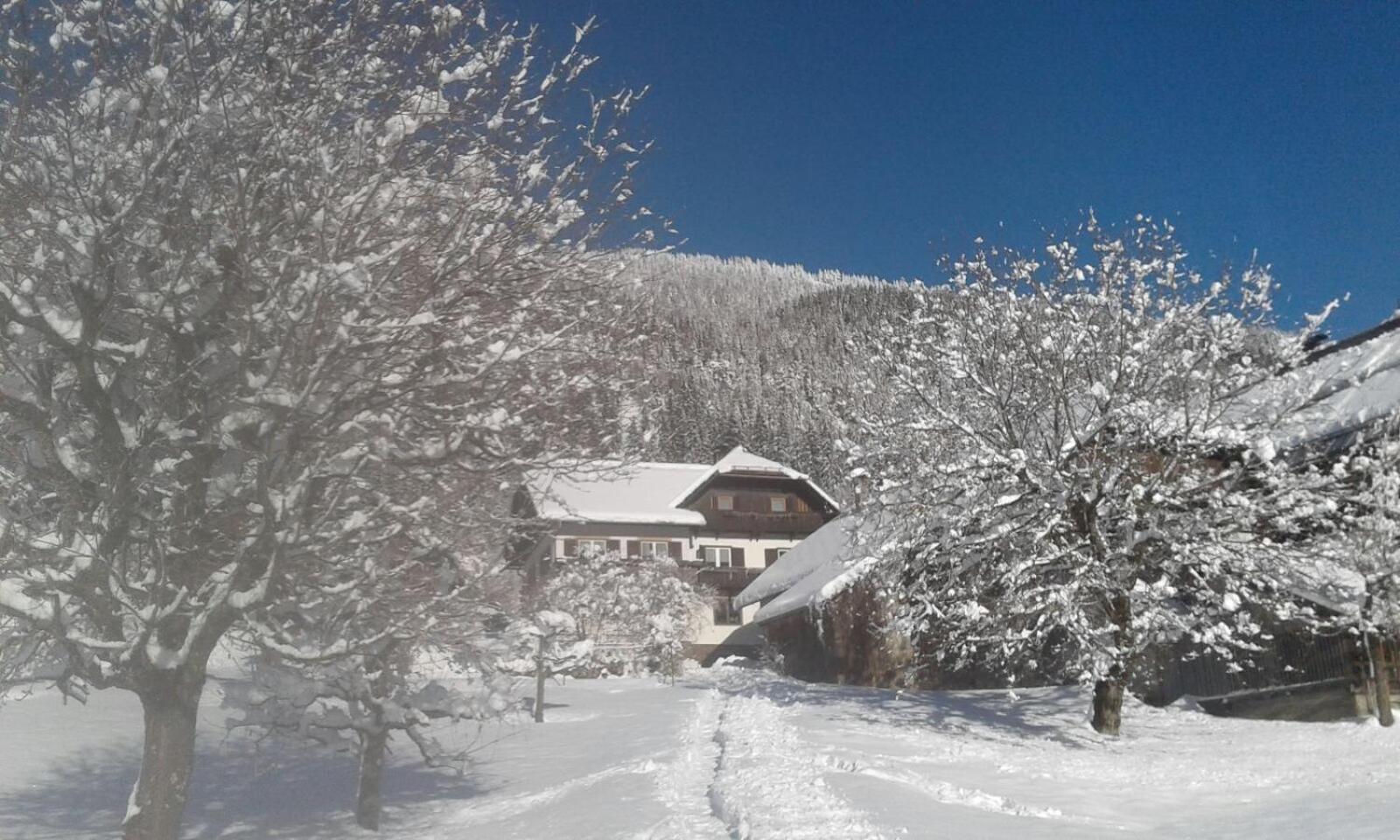 Haus Binder Διαμέρισμα Weissensee Εξωτερικό φωτογραφία